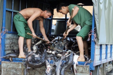 Đường đi của hàng lậu rộng thênh thang